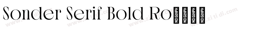 Sonder Serif Bold Ro字体转换